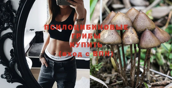 PSILOCYBIN Абинск